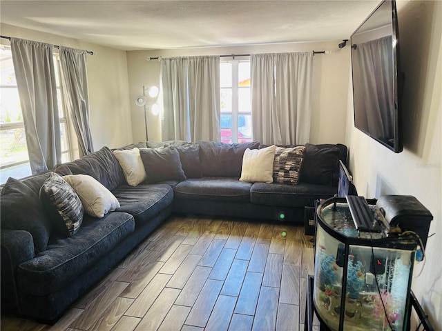 living room with wood-type flooring