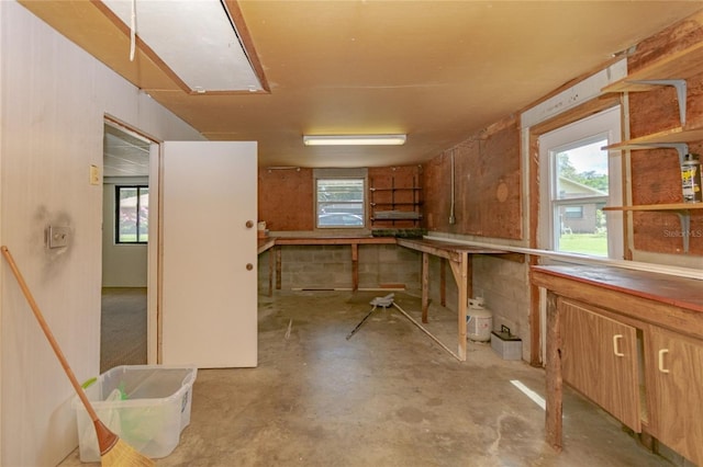 basement with plenty of natural light and a workshop area