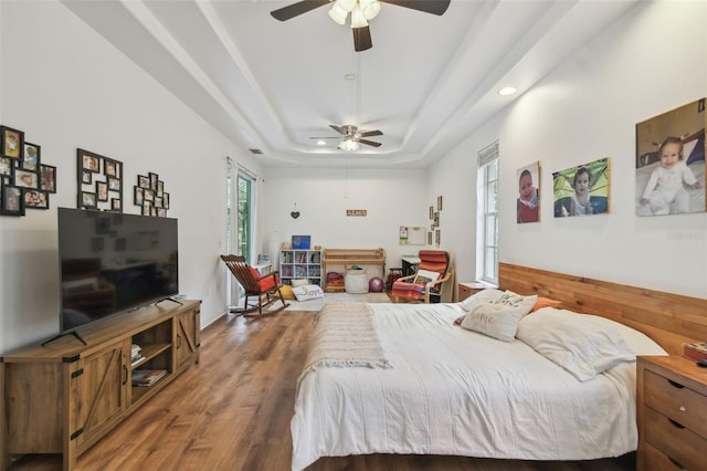 bedroom with ceiling fan, wood finished floors, multiple windows, and a raised ceiling