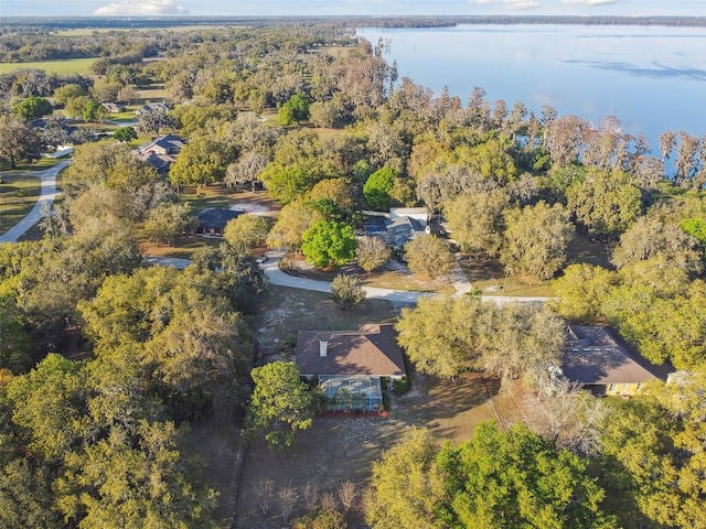 bird's eye view featuring a water view and a wooded view