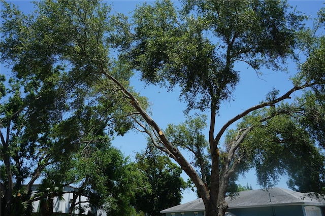 0 74th Ave N, Pinellas Park, FL 33781
