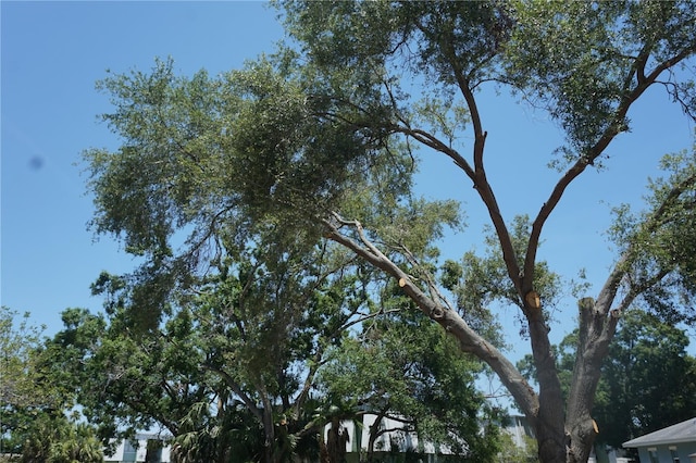 0 74th Ave N, Pinellas Park, FL 33781