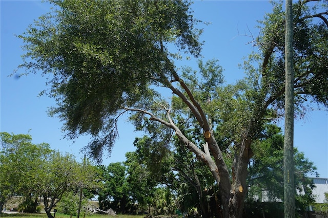 0 74th Ave N, Pinellas Park, FL 33781