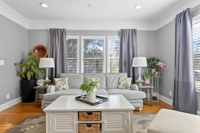 living room with light hardwood / wood-style flooring and crown molding