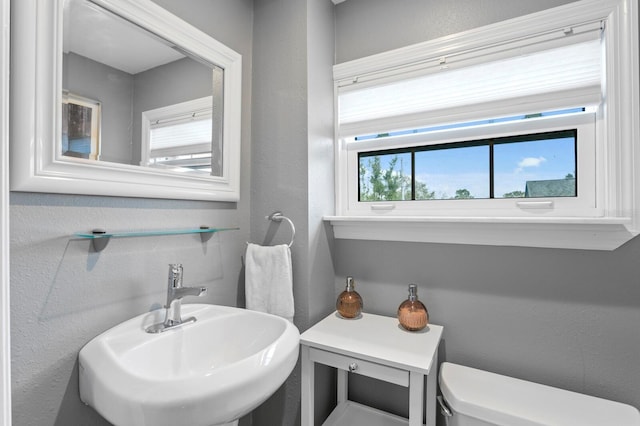 bathroom featuring sink and toilet