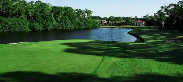 128 Nancy Dr Unit 128, Oldsmar, FL 34677 - view of home's community featuring a water view, golf course view, and a putting green