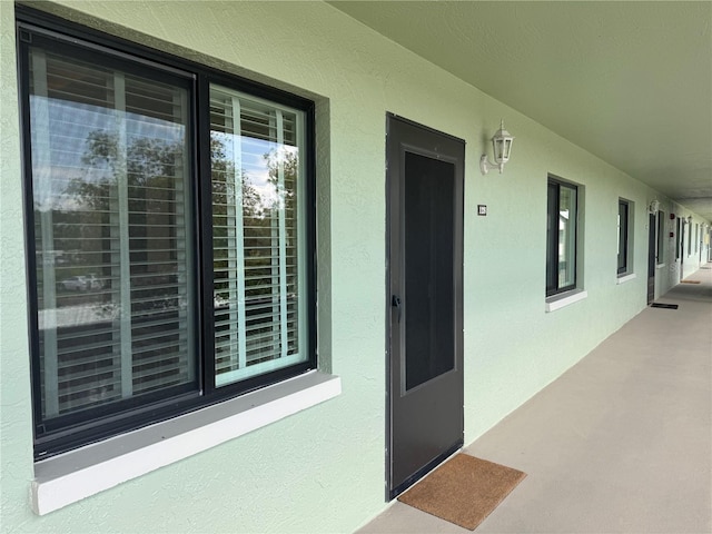 128 Nancy Dr Unit 128, Oldsmar, FL 34677 - view of exterior entry featuring stucco siding
