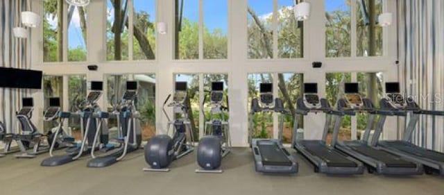 exercise room with a towering ceiling