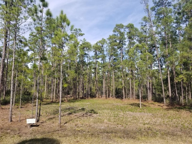 Alba Dr, Indian Lake Estates FL, 33855 land for sale