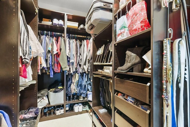 view of walk in closet