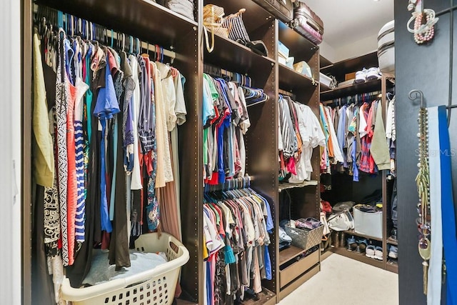 view of spacious closet