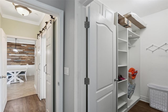 walk in closet featuring dark hardwood / wood-style flooring and a barn door