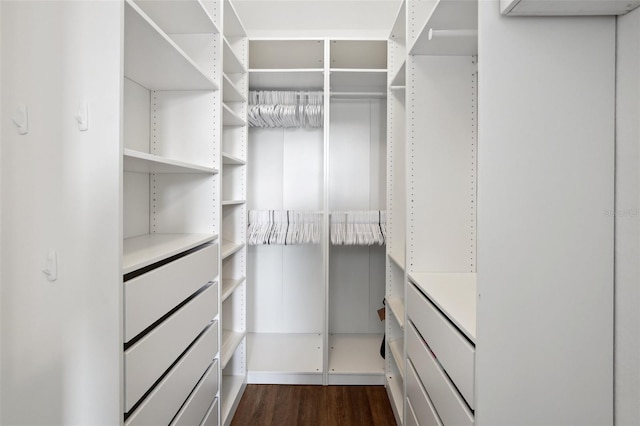 walk in closet featuring dark hardwood / wood-style flooring