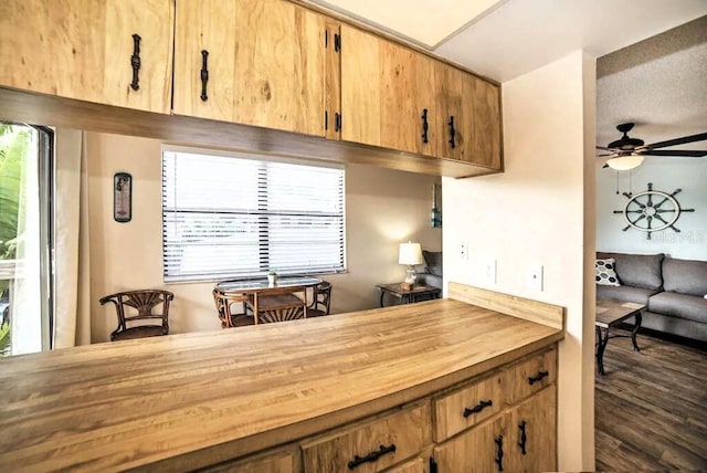 725 1st St, Indian Rocks Beach, FL 33785 - kitchen with wooden counters, a ceiling fan, and plenty of natural light