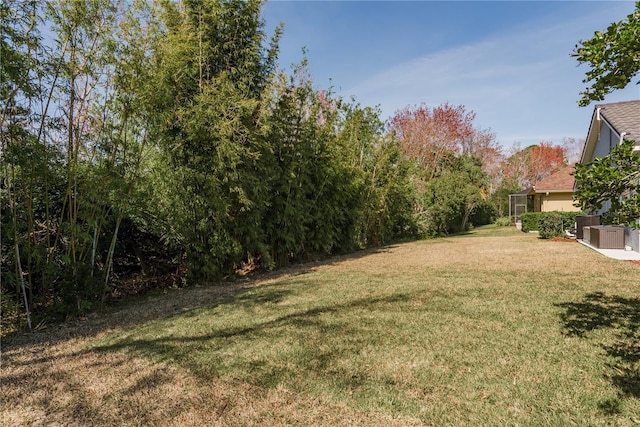 10537 Greensprings Dr, Tampa, FL 33626 - view of grassy yard