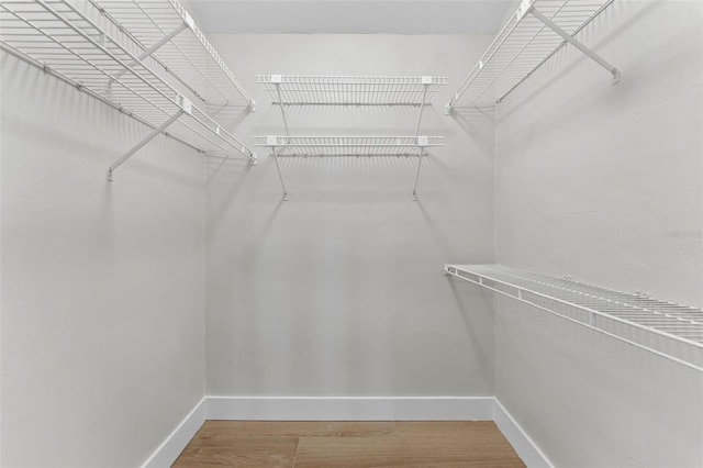 walk in closet with wood-type flooring