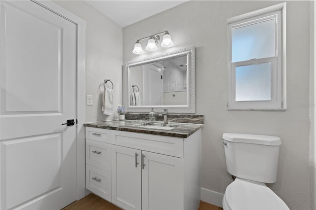 bathroom with toilet and vanity