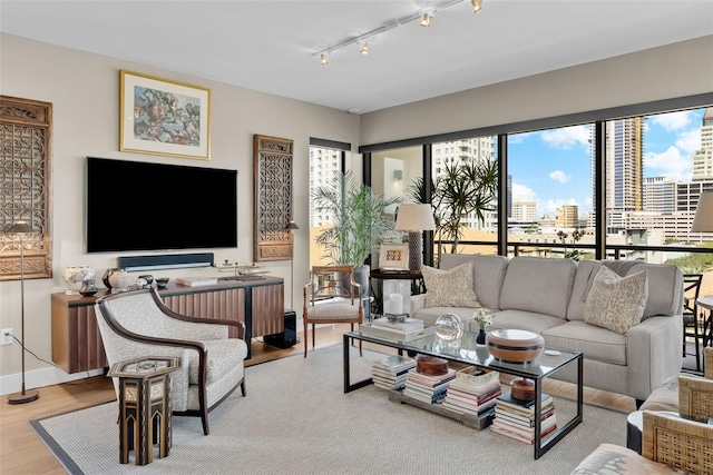 living room with light hardwood / wood-style flooring and rail lighting