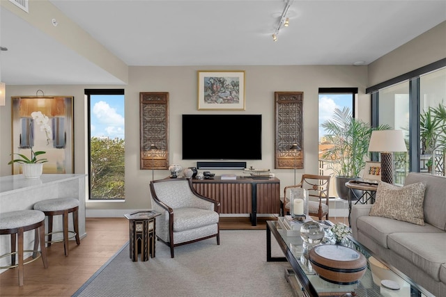 living room featuring hardwood / wood-style floors