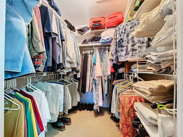 spacious closet with carpet