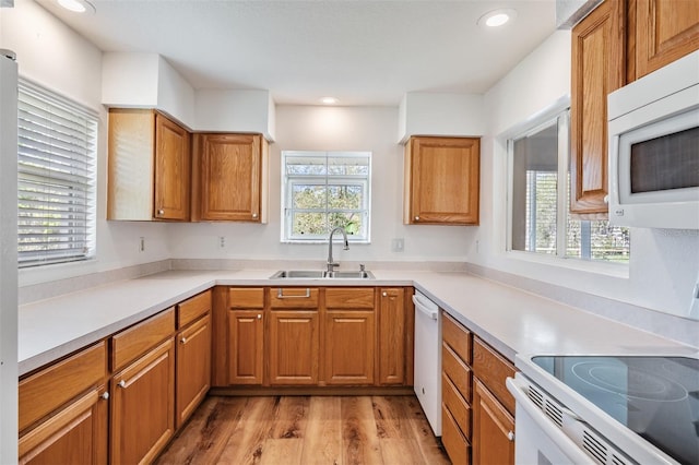 kitchen featuring white appliances, light wood-style flooring, a wealth of natural light, and a sink