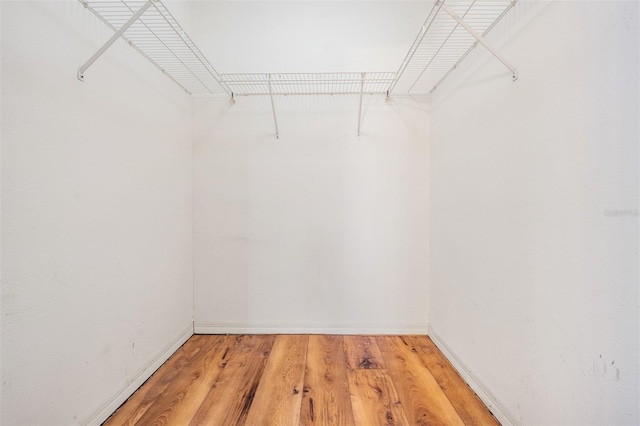 walk in closet with light wood-style flooring