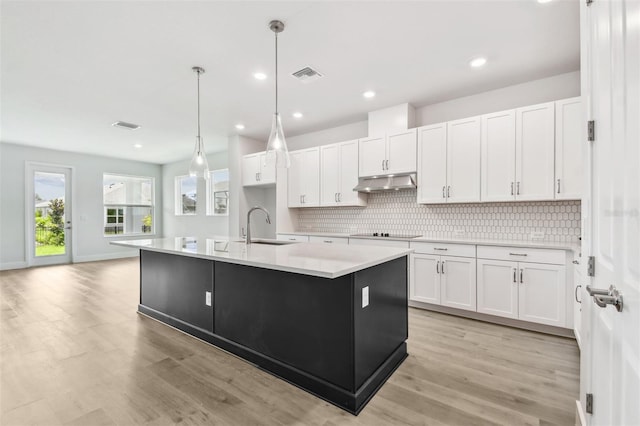 11885 Richmond Trl, Parrish, FL 34219 - kitchen with under cabinet range hood, a sink, white cabinetry, backsplash, and recessed lighting
