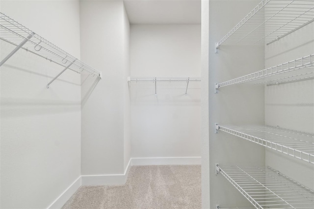 11885 Richmond Trl, Parrish, FL 34219 - walk in closet with carpet flooring