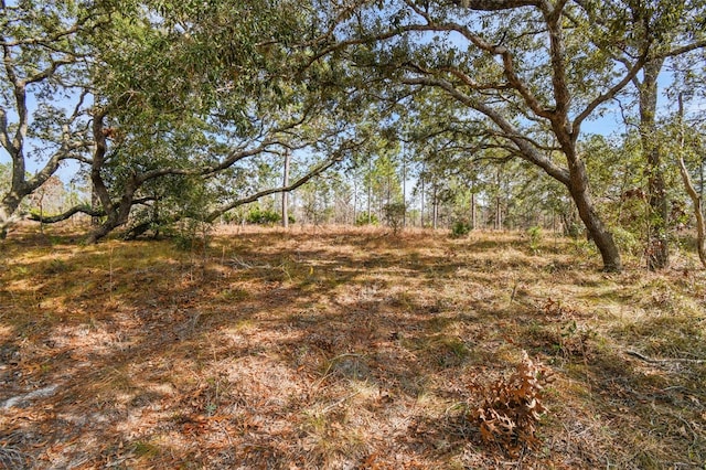 Seneca Rd, Weeki Wachee FL, 34614 land for sale