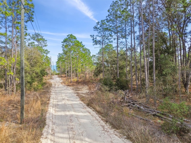 Listing photo 2 for Seneca Rd, Weeki Wachee FL 34614