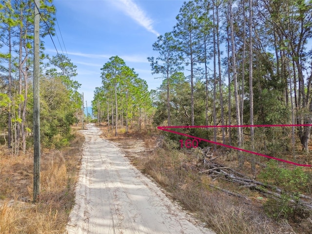 Listing photo 3 for Seneca Rd, Weeki Wachee FL 34614