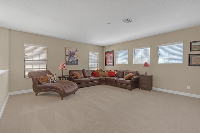 carpeted living room featuring visible vents, a textured ceiling, a wealth of natural light, and baseboards