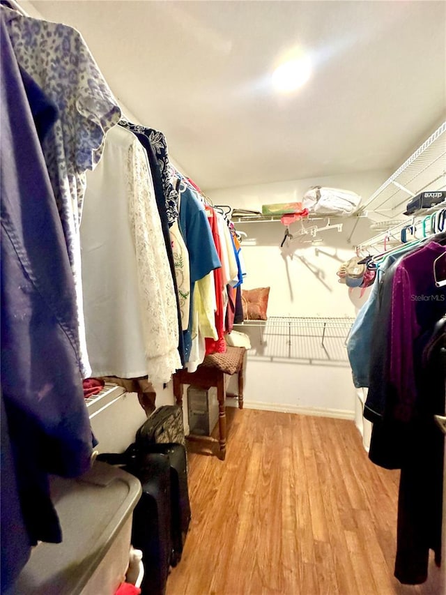 4797 N Lena Dr, Beverly Hills, FL 34465 - walk in closet with wood finished floors