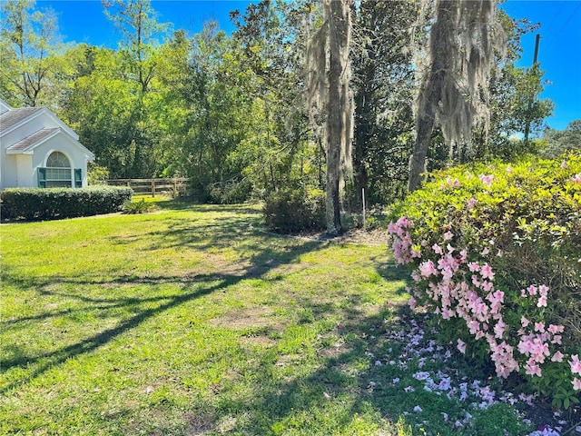 4797 N Lena Dr, Beverly Hills, FL 34465 - view of yard with fence