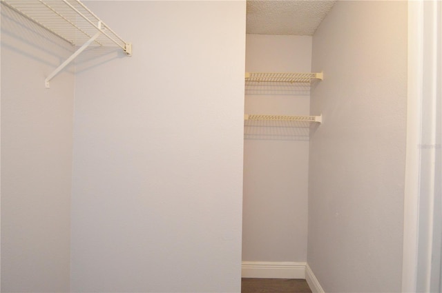 walk in closet featuring hardwood / wood-style flooring