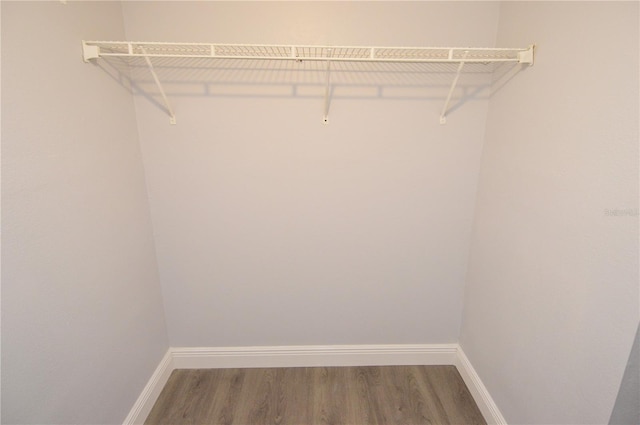 walk in closet featuring hardwood / wood-style flooring