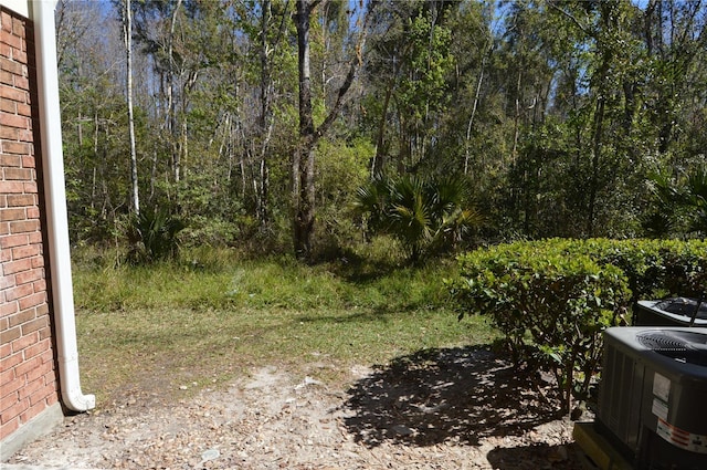 view of yard with central AC