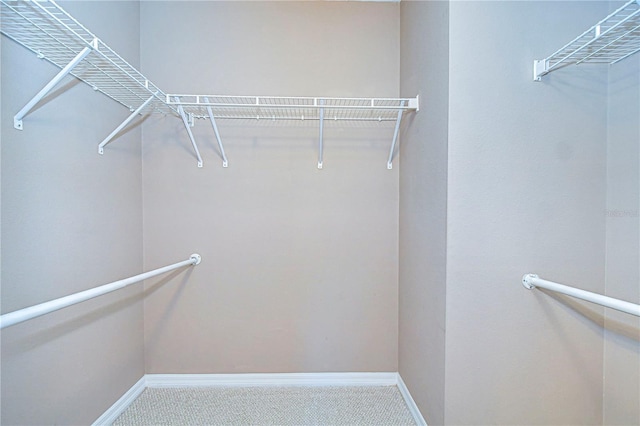 spacious closet featuring carpet flooring