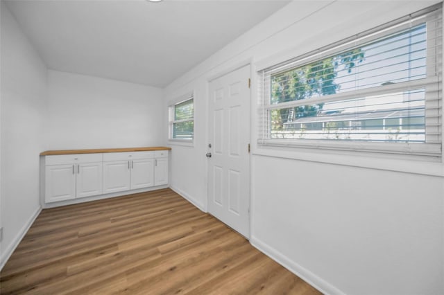 entryway with hardwood / wood-style floors