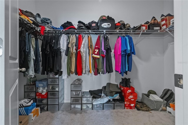 walk in closet with carpet floors