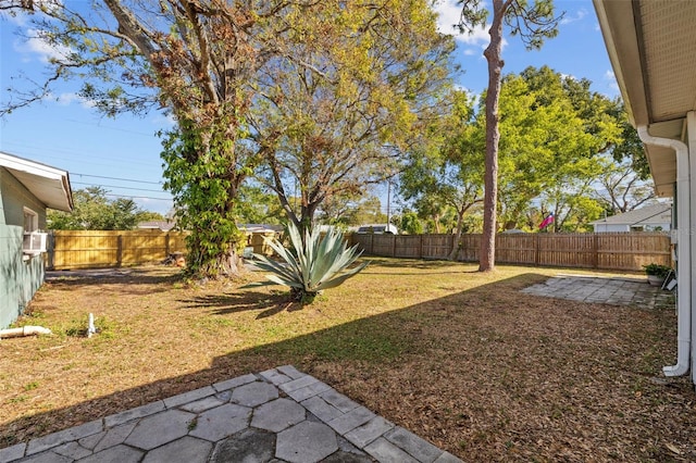 view of yard with a patio and a fenced backyard