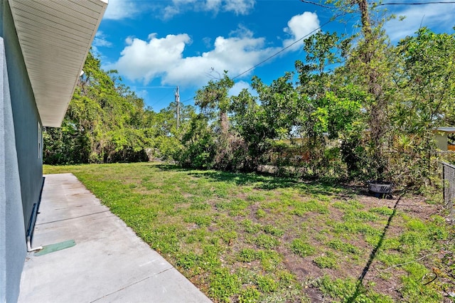 1119 77th St N, Saint Petersburg, FL 33710 - view of yard
