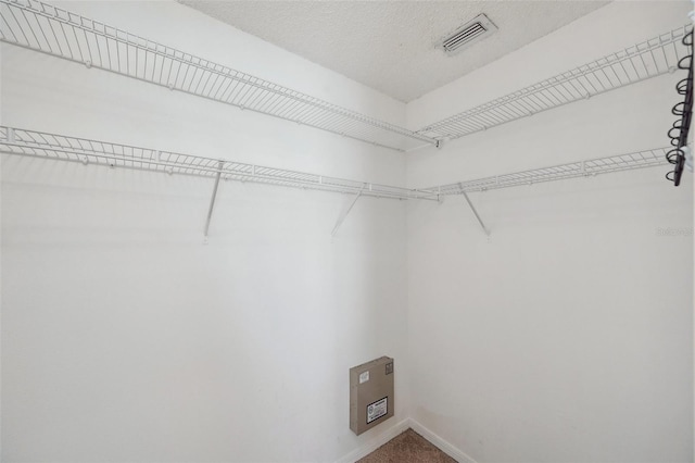 spacious closet with carpet and visible vents