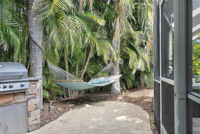 view of patio featuring area for grilling