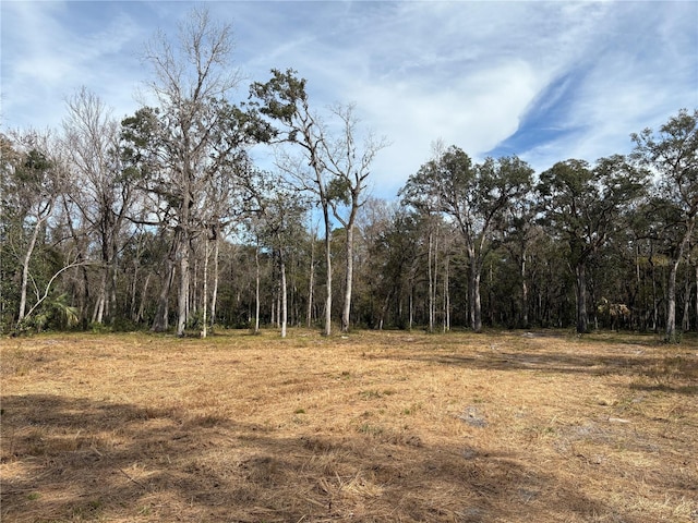 0 Lake Lindsey Rd, Brooksville FL, 34601 land for sale