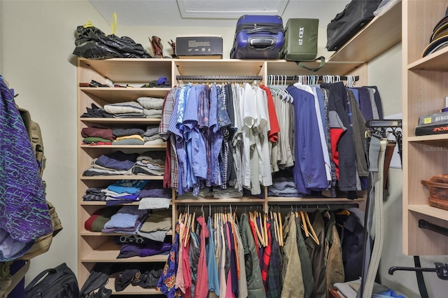 view of walk in closet