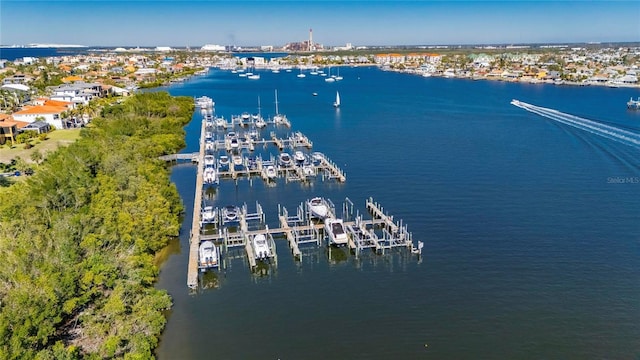 1335 Jumana Loop, Apollo Beach, FL 33572 - bird's eye view of a nearby body of water