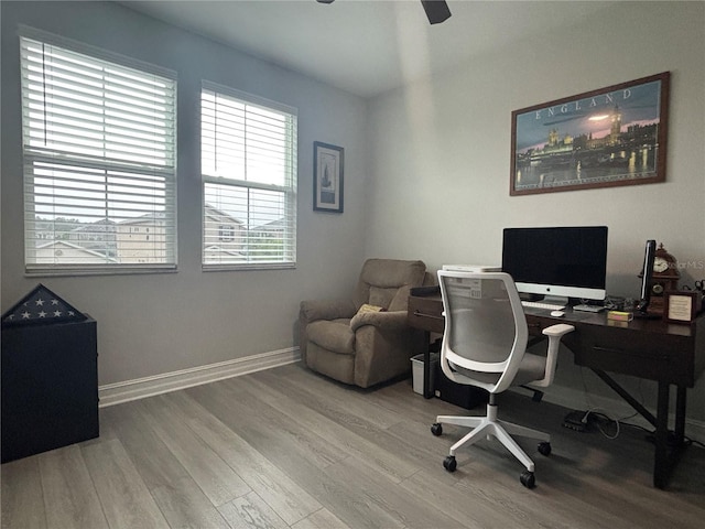 29011 Trevi Pl, Wesley Chapel, FL 33543 - office featuring wood finished floors and a ceiling fan