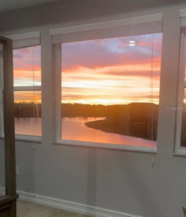 29011 Trevi Pl, Wesley Chapel, FL 33543 - water view
