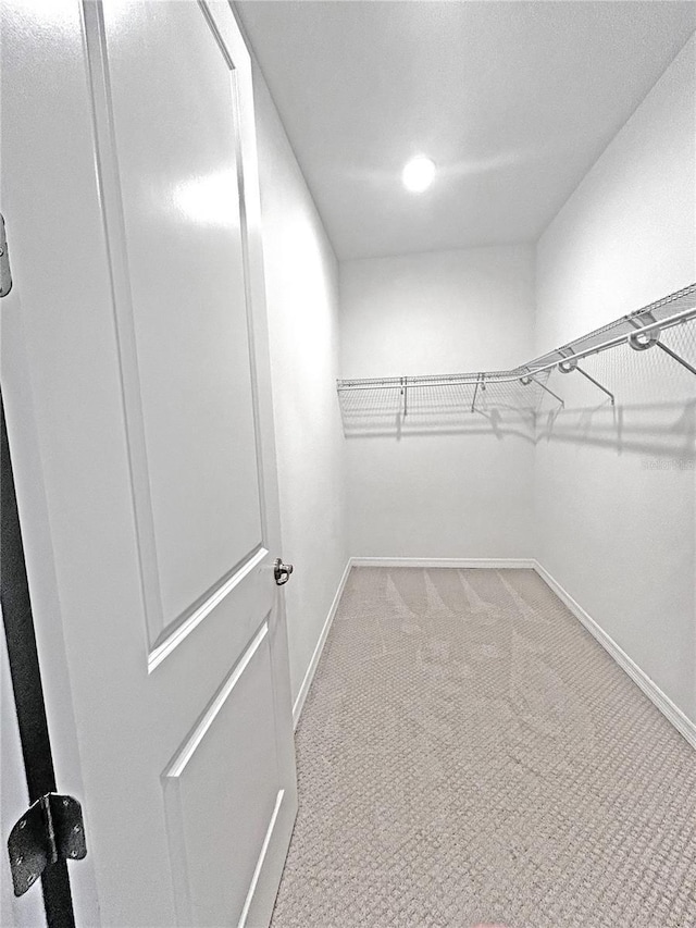 spacious closet featuring light carpet